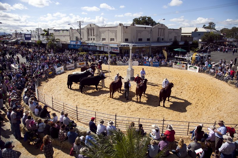 Image: Entdecken Sie das Beef Casino Online in Deutschland - Erfahrungen und